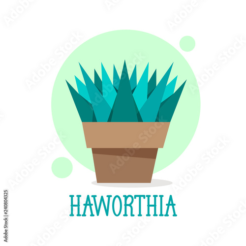 Succulent Haworthia in pot thin line icon. Modern vector illustration