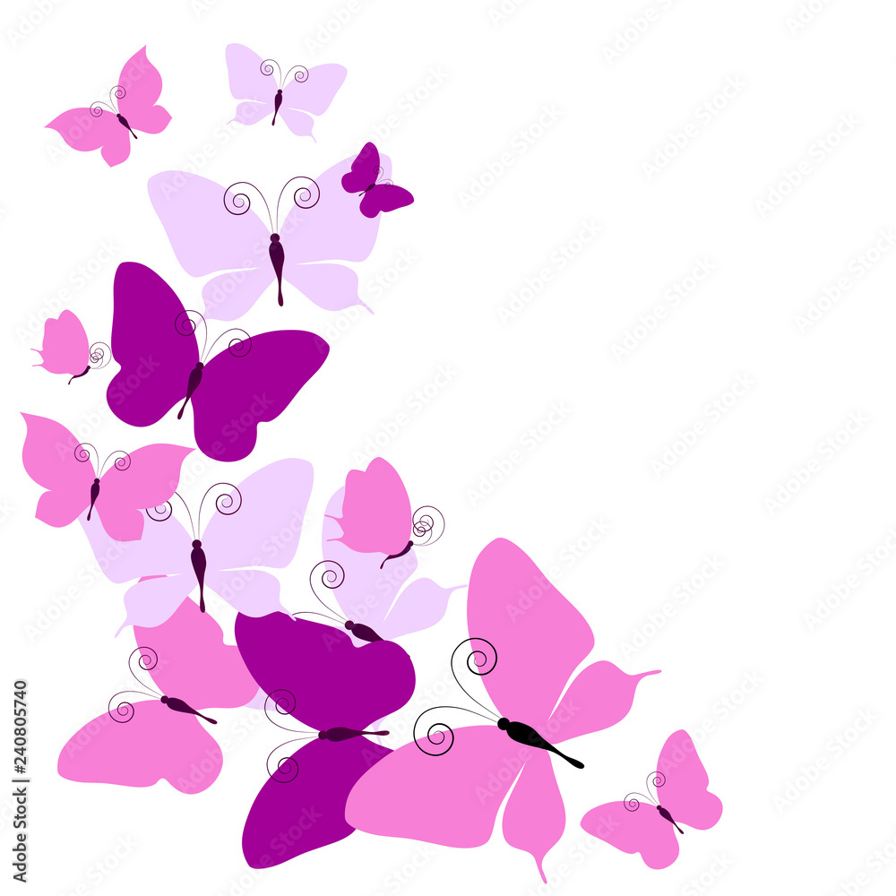 beautiful pink butterflies, isolated on a white beautiful pink butterflies, isolated on a white