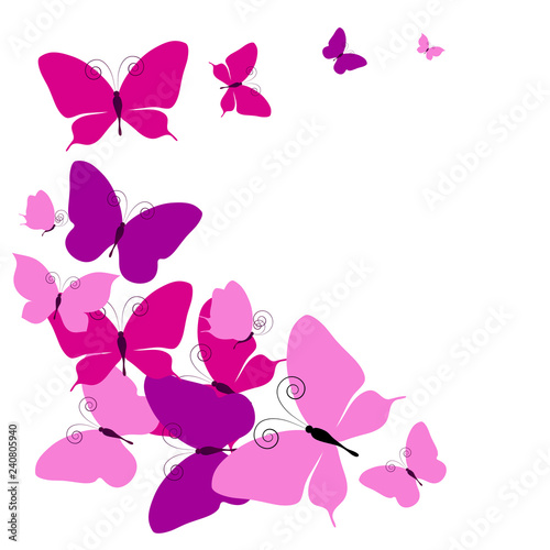 beautiful pink butterflies, isolated on a white