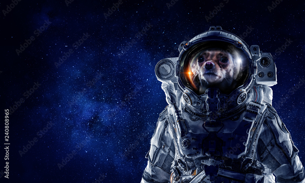 First trip to space. Mixed media First trip to space. Mixed media
