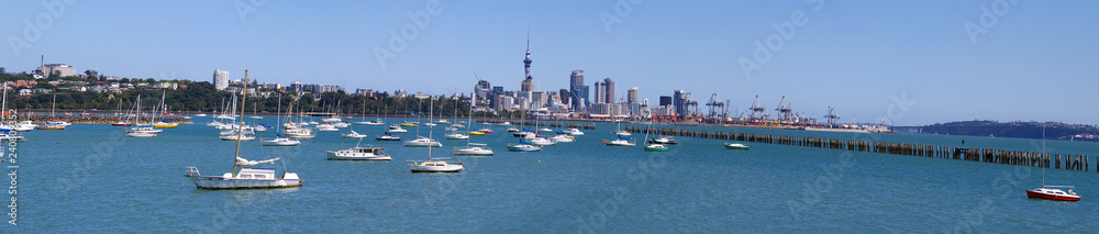 Auckland, New Zealand from the Bay