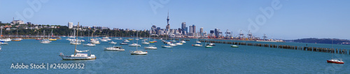 Auckland, New Zealand from the Bay