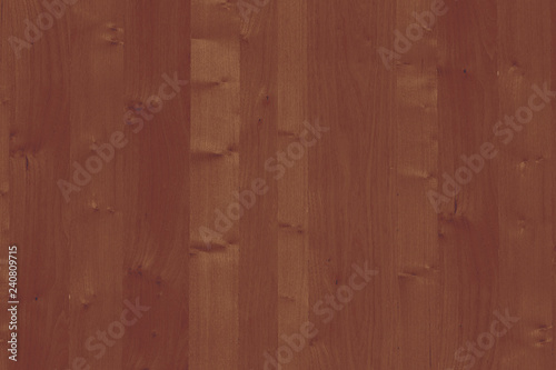 wood timber tree wooden backdrop structure texture background wallpaper