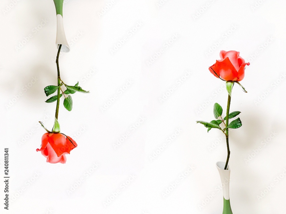 Fototapeta premium Red rose frame in white and green vase on white background with copy space