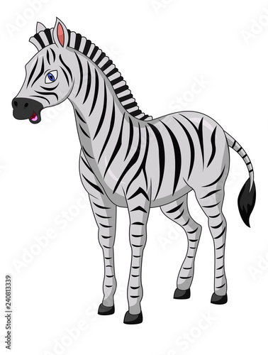 Cute zebra cartoon isolated on white background 