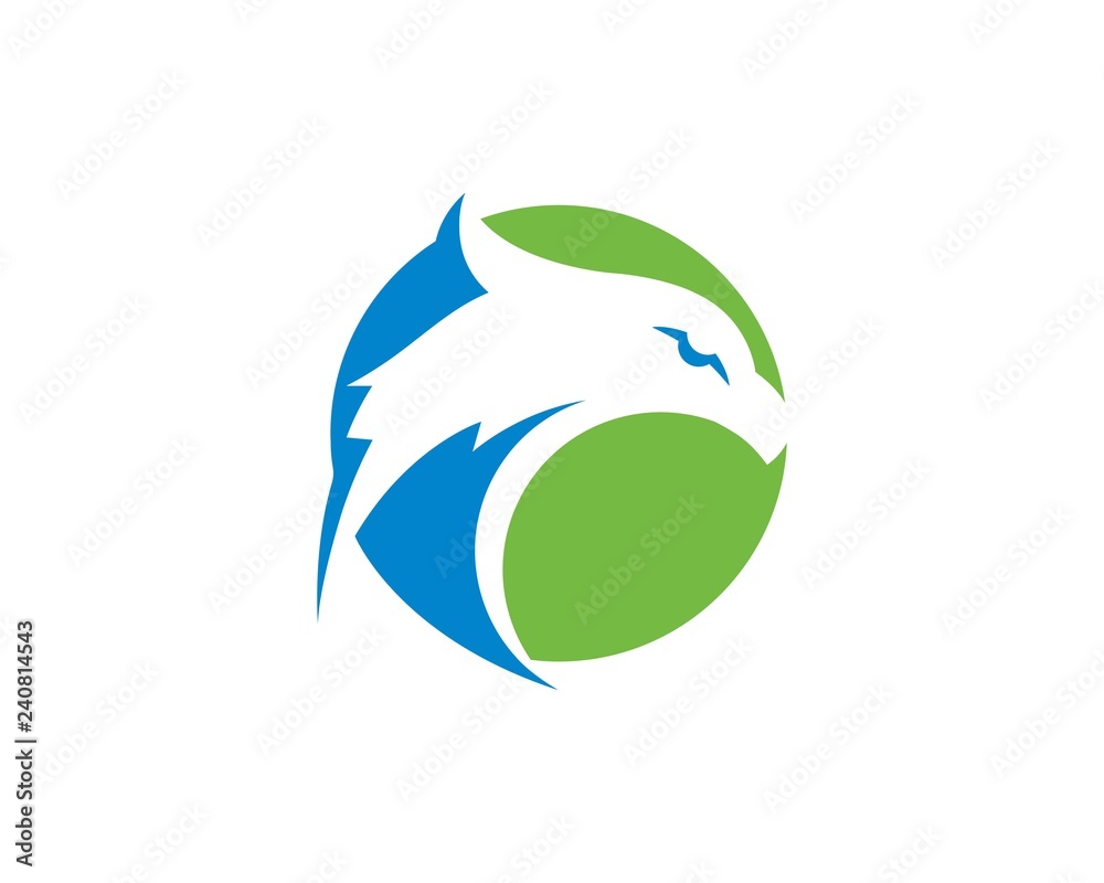 Falcon Eagle Bird Logo Template vecto Falcon Eagle Bird Logo Template vecto