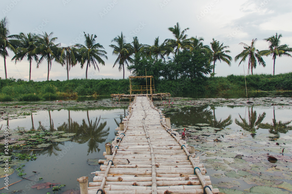 Bamboo bridge in lotus pond Bamboo bridge in lotus pond
