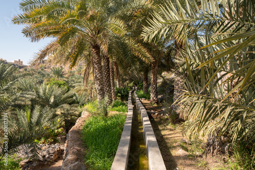 Falaj irrigation system in Oman photo