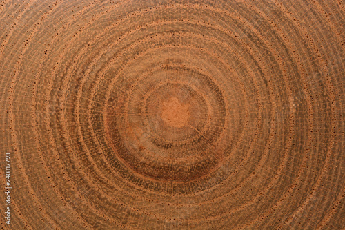 Growth Rings Bckground