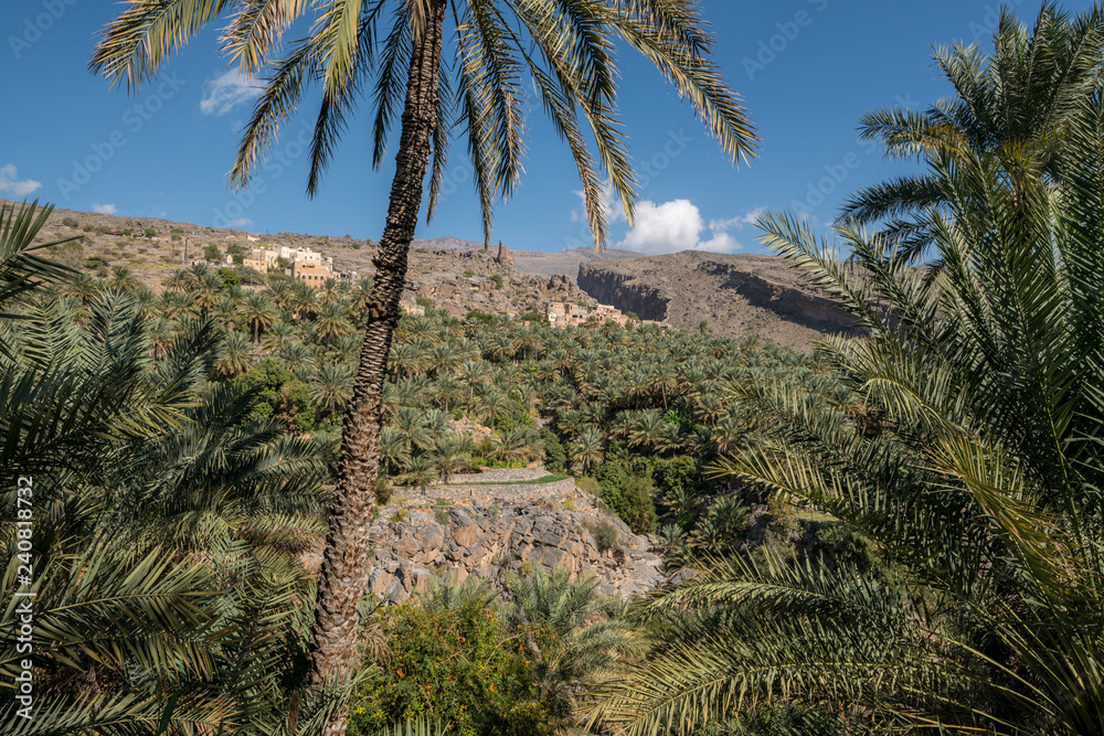 The mountain village of Misfat, Oman