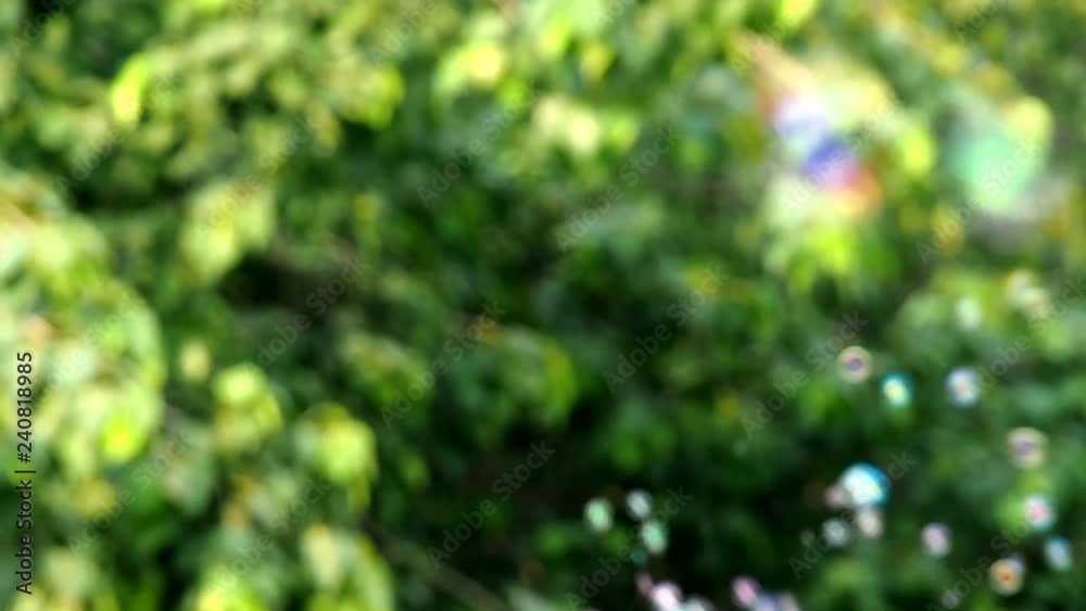 Blurred Soap bubble flying in the air. background for summer funny festive outdoor Blurred Soap bubble flying in the air. background for summer funny festive outdoor