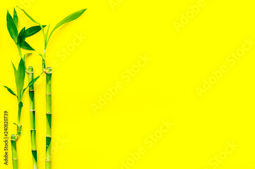 Asia background. Chinese, japanese background. Bamboo branch on yellow background top view copy space