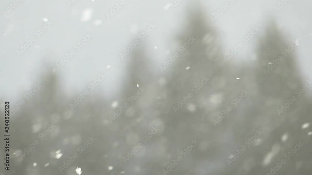 ちらちら降る雪 冬イメージ 自然風景 ちらちら降る雪 冬イメージ 自然風景