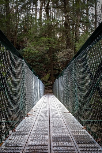 A low-angle view across a metal footbridge over the Little Gizzard Creek just upstream Foster Falls in Sequatchie Tennessee. photo