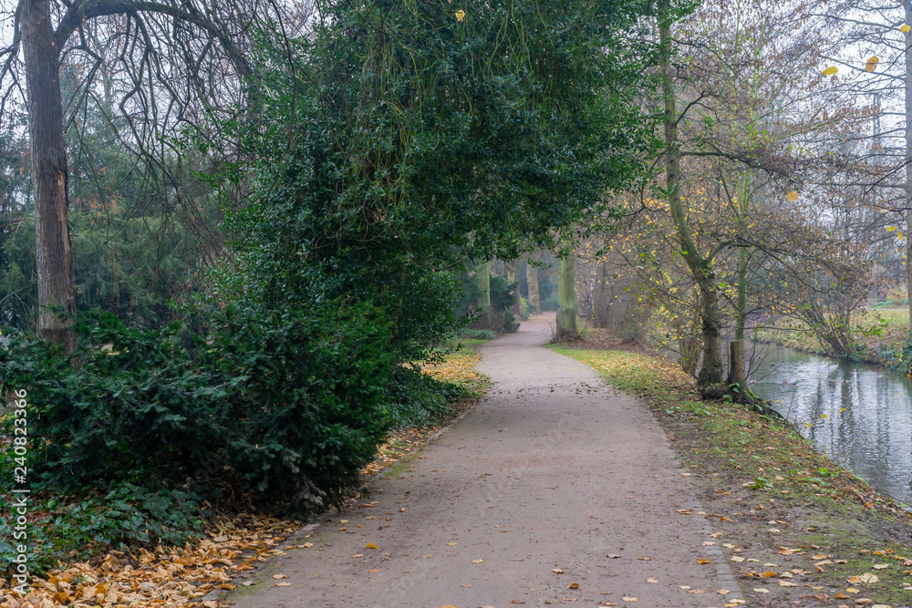 Path in park Path in park