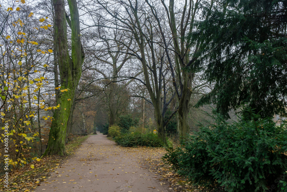 Path in park