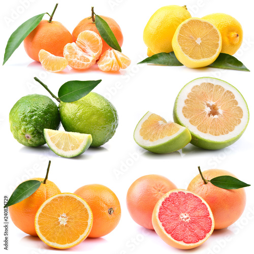 Citrus fruits on a white background