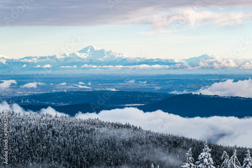 snow covered forest on the slope  surrounded by cloud with snow covered mountains on the far side