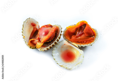 cockles isolated on white background / fresh raw blood cockle seafood