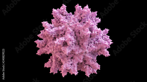 3D CG rendered image of scientifically accurate Avian Infectious Bursal Disease Virus (IBDV) Capsid Structure based on PDB : 1WCD (surface style)