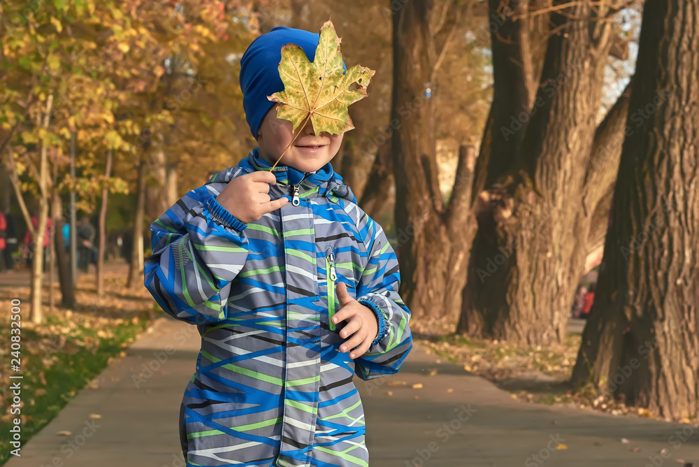 Little boy with maple leaf autumn landscape Little boy with maple leaf autumn landscape
