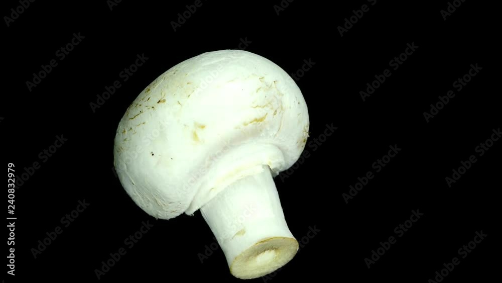 Champignons, fresh on a turn table Champignons, fresh on a turn table