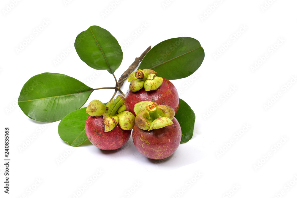 Fototapeta premium Fresh whole and sliced mangosteen fruits with leaves isolated on white background