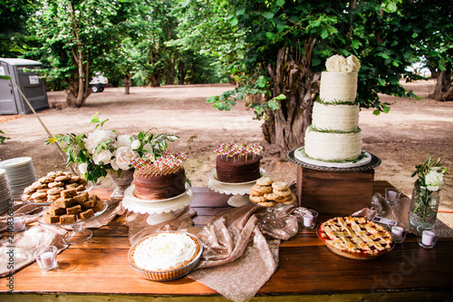 wedding desserts on table in forest © maxwellmonty