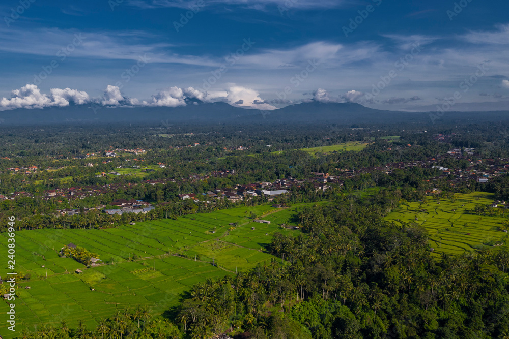 Arial view of balinese countryside with rice terraces and trees in Ubud, Indonesia. 