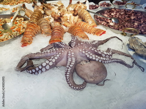 Delikatessen: Frische Meeresfrüchte am Fischmarkt