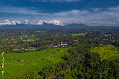 Arial view of balinese countryside with rice terraces and trees in Ubud  Indonesia. 