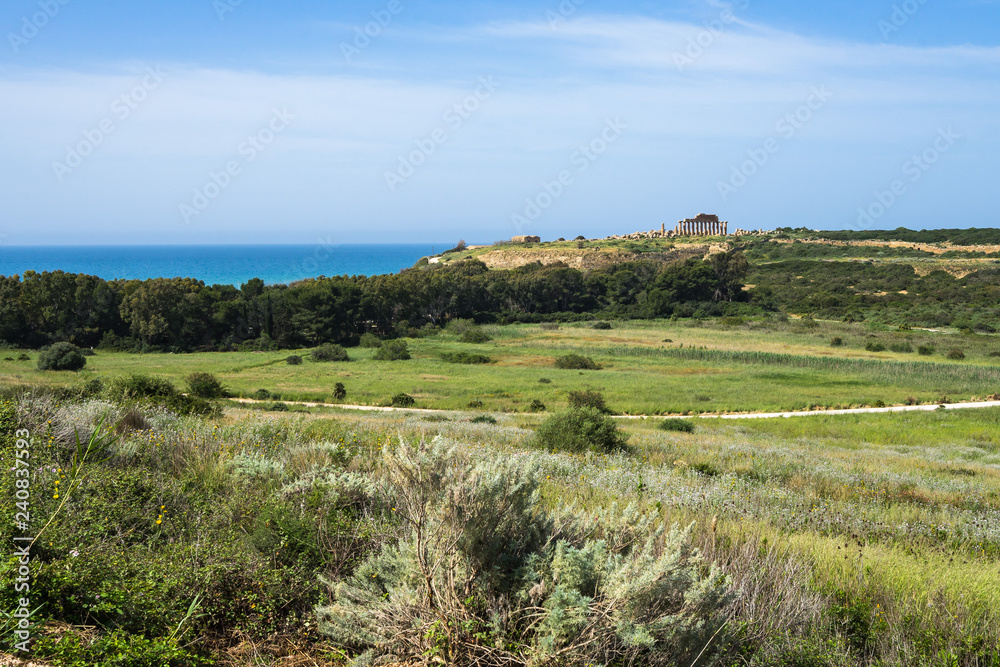 Amazing landscape of Selinunte Archaeological park with Mediterranean sea on the background and the Acropolis on the right, Castelvetrano, Trapani Province, Sicily, Italy