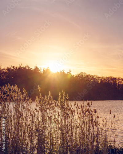 sunset over water
