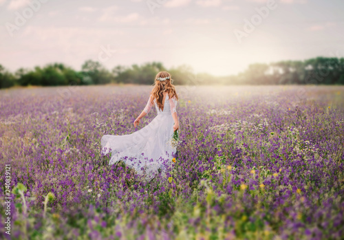 young lady dressed in an elegant long white dress with transparent sleeves and , with a neat hairstyle of blond hair decorated with a white wreath, walks across the field of purple flowers. no face