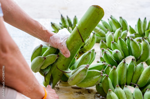 Cultivator hand using knife cut unripe banana bunch photo