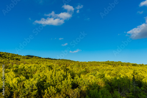 Greece  Zakynthos  Rural countryside untouched by humans