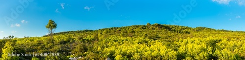 Greece, Zakynthos, XXL panorama of green tree covered hill landscape and blue sky © Simon