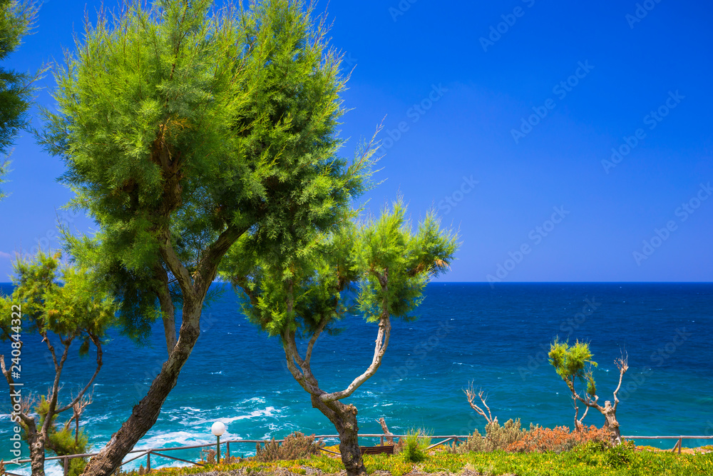 Tamarix trees and Mediterranean sea on a background. Crete island