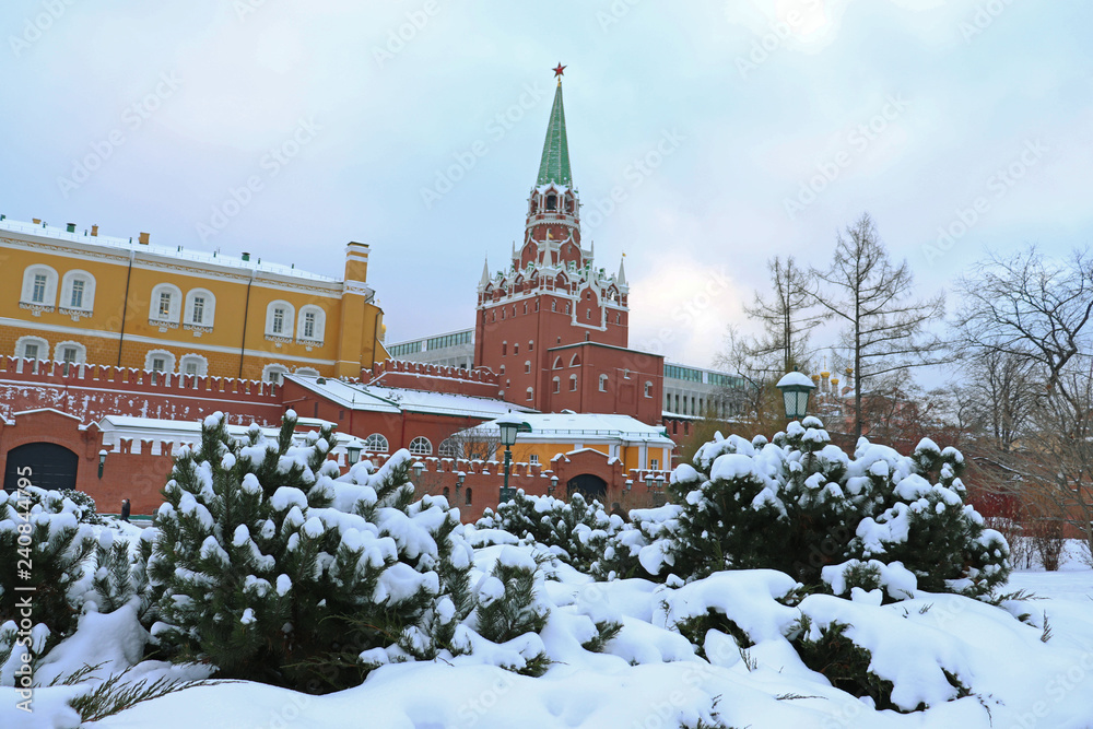 Fototapeta bushes in bliss, a lot of snow, winter, Alexander garden, Moscow Kremlin Trinity tower