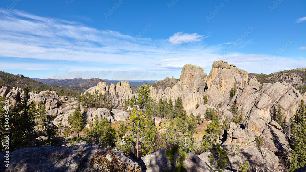 Panoramic view of Black Hills National Forest landscape, South Dakota, USA.