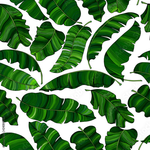 Seamless pattern of exotic, green banana leaves, randomly scattered and isolated on a transparent background. Decorative image with tropical foliage. Vector illustration. 