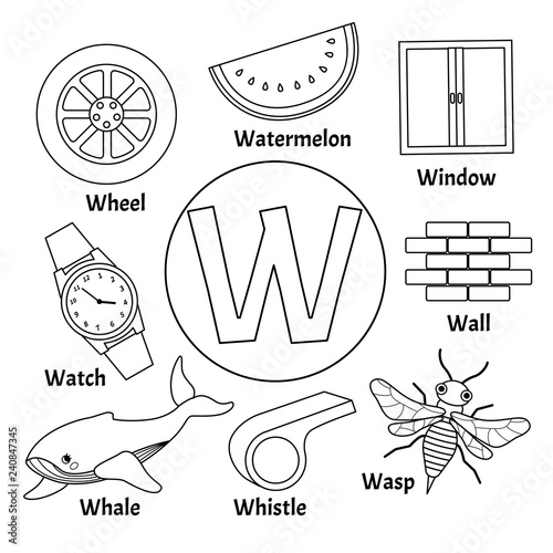 Vector cute kids animal alphabet. Letter W. Set of cute cartoon illustrations. Coloring page. 