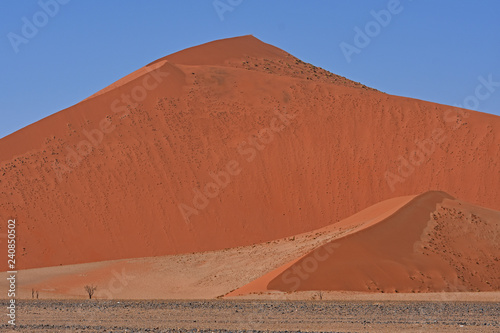 Sanddünen im Namib-Naukluft Nationalpark in Namibia