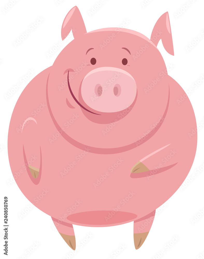 cute pig animal character cartoon illustration cute pig animal character cartoon illustration