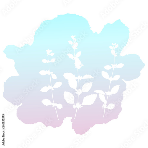 Botanical illustration with herbs  plants  flowers and leaves. Isolated white vector silhouettes on gradient background. Graphic design for background  card  web banner  poster  invitation.