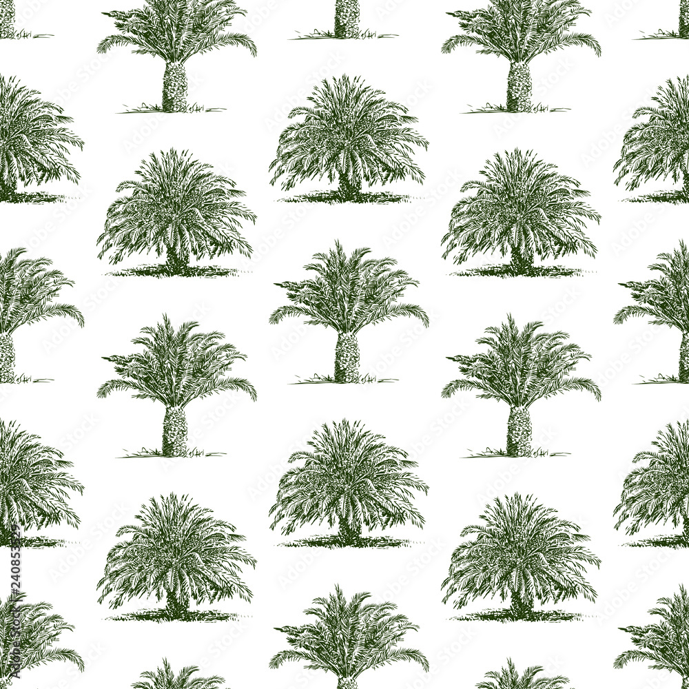 Seamless pattern of palm trees sketches Seamless pattern of palm trees sketches