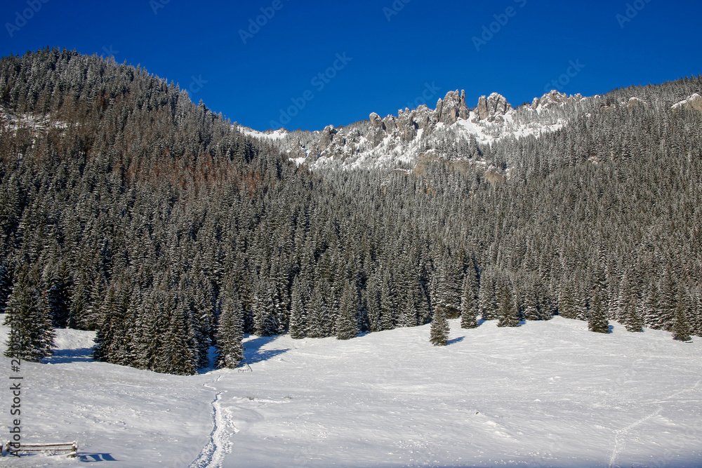 beautiful winter landscape in Tatra Mountains, Poland