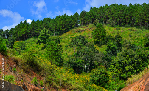 Mountain scenery at summer day photo