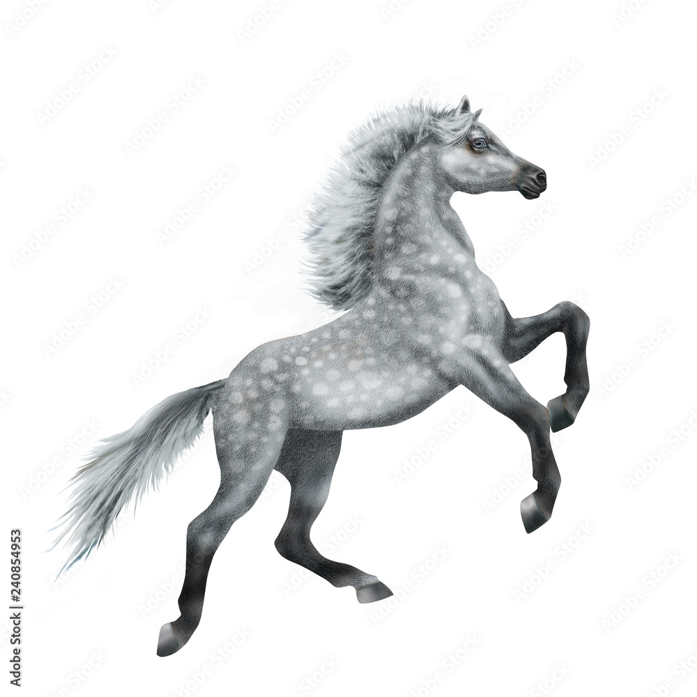cheval, animal, gris , isolé, noir, silhouette, étalon, coeur, galop, mammifère, course, crin, illustration, sauvage, des chevaux, courir, ferme, nature, cheval, jument, chevalin, andalou, animal, cou cheval, animal, gris , isolé, noir, silhouette, étalon, coeur, galop, mammifère, course, crin, illustration, sauvage, des chevaux, courir, ferme, nature, cheval, jument, chevalin, andalou, animal, cou