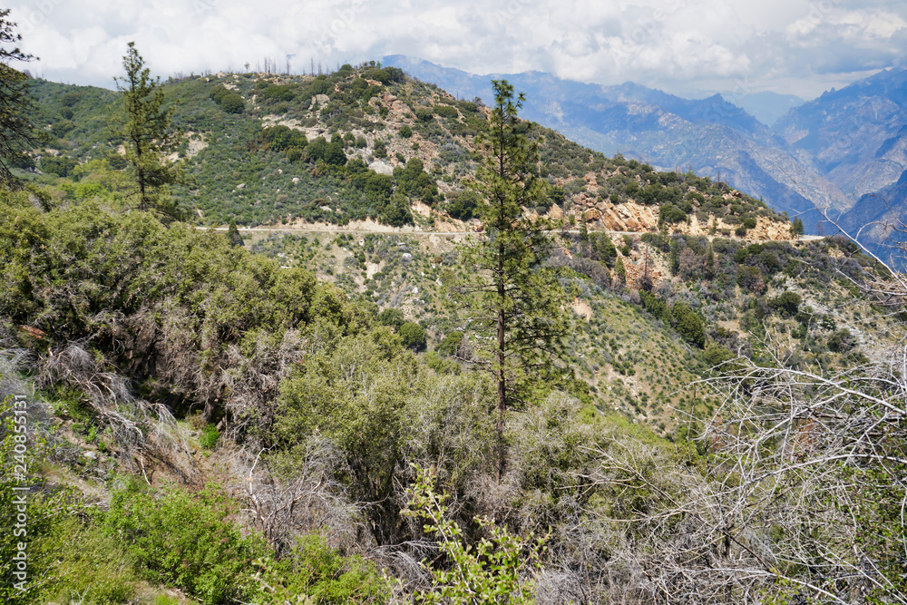 Fototapeta premium Mountain nature in Sequoia National Park.